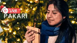 Pakari(Yupanki) - Special Last Concert of This Year