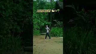 UN VIAJE AFROBEAT LATIN MUSIC 2025