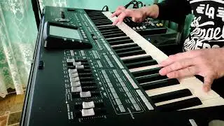Horă mișcată🎹🎵🔊 Korg pa3x