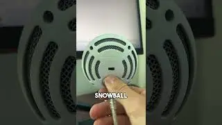 I love my blue snowball