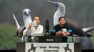 Good Morning Greenwich Announcements 11/25/24