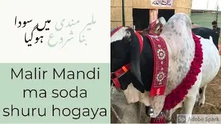 Malir Mandi ma Soda hi Soda | Dhoka ya Galat Fehmi | Mobasaleem2.0