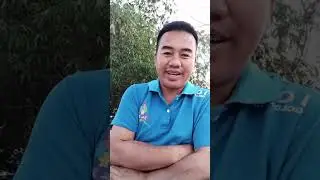 ၶၢဝ်ႇပၢင်တိုၵ်းလေႈပၢင်လိူၵ်ႈတင်ႈ 27/12/2025