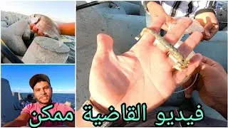 صيد الدنيس بالبورصة اليد علي الطريقة السكندرية