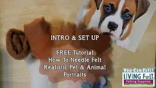 How to Needle Felt a Realistic Pet Portrait Tutorial:  Intro & Set Up