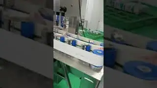 Auto machine for frozen fish and Pork feet cut in half