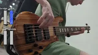 Spector Rebop 5 DLX EX (sound test)