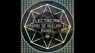 Electricano - Andrei Se Bucura (Original Mix) // TZH168