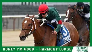 Honey I'm Good - 2020 - The Harmony Lodge