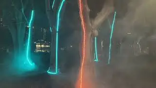 IGNITE BrowardInteractive Art & Technology Festival #weareftl #walkingtour #fortlauderdale #florida