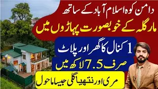 Pine City Islamabad | Top Investment Spot | Cheapest Farmhouses for Sale | Latest Updates