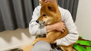 アマゾンで買ったオモチャが恐すぎたようだ