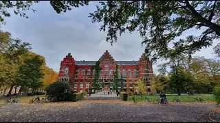 Autumn colours in Lund city Sweden! My first ever Autumn season
