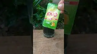 #Eno vs Shampoo (simple experiment) 👌you can try @ home.