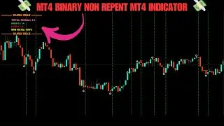 MT4 BINARY NON REPENT MT4 INDICATOR DOWNLOAD FOR FREE