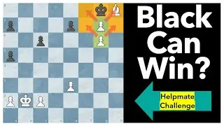 Both Sides Can WIN? 🤔 Helpmate Chess Puzzle! 🔍