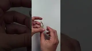 Создаём потрясающе реалистичные серьги из полимерной глины! #полимернаяглина #сделайсам