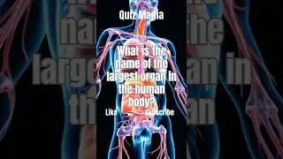 🧍&zwj;♂️ Do You Really Know Your Body...Answer This | Biology Quiz 🧍&zwj;♂️ #shorts #quiz