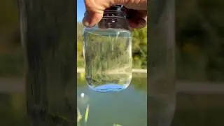 Only low maintenance filter you need for clear water!