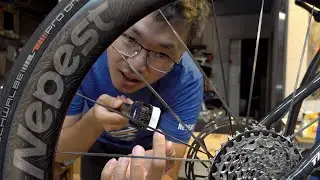 Nepest NOVA 碳條輪組：輕量、空力、舒適一次滿足！/ 公路車 / CT Yeh