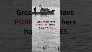 Great Minds | #mindset #motivation #quotes #shorts #circumstances