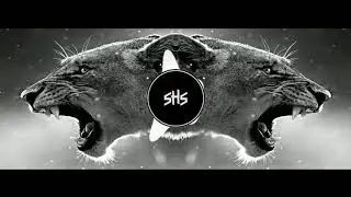 Mr. Ours   Sandwichos - Electronyze Me