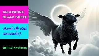 Ascending Black Sheep - ඔයත් මේ එක් කෙනෙක්ද?🤔❤️