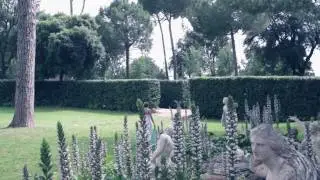 Il Favorito di Vivaldi, Riccardo Minasi, Il Complesso Barocco
