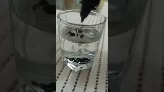 oil vs ink experiment | science experiment| science hacks| lab experiment |satisfying vedio