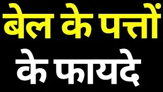 बेल के पत्तों के फायदे Bael Patra Benefits / Wellness Ka Gyaan