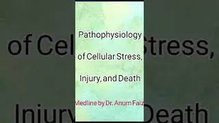 Pathophysiology of Cellular Stress, Injury and Death..