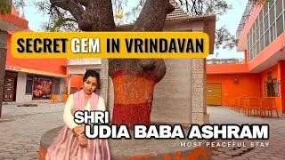 My Experience with SHRIDHAM VRINDAVAN 🪷 | Shri UDIA BABA ASHRAM 🙏 @Udiyababaashram 