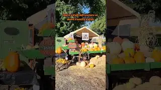 Have a Fall Adventure at Book Family Farm in Durham, California 🎃🍂 │ Explore Butte County
