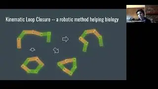 A computational approach to design structured peptides and predict peptide behavior in solution