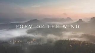 Poem of the Wind - Beautiful & Sad Piano Song ｜BigRicePiano