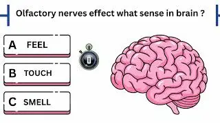 General science question|question answers|gk questions...#science#gk#quiz