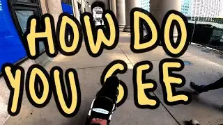 How Do You See? Being Blind with a Guide Dog