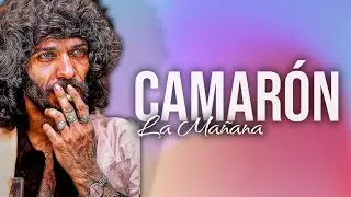 CAMARÓN DE LA ISLA IA  la mañana