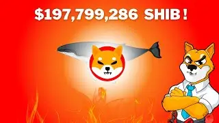 Shiba Inu Coin News Today latest 