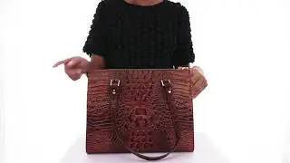 Brahmin Anywhere Tote