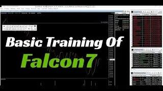 Basics Training Of Falcon7