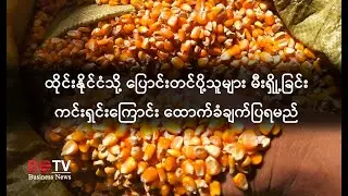 ထိုင်းနိုင်ငံသို့ ပြောင်းတင်ပို့သူများ မီးရှို့ခြင်းကင်းရှင်းကြောင်း ထောက်ခံချက်ပြရမည်