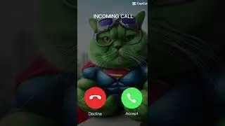 Iphone  ringtone  📱 calling messenger #iphone #cutecats #messenger #ringtones