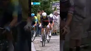 Tim Wellens is in his element 😍 The Belgian national champion has dropped the hammer on the Muur.