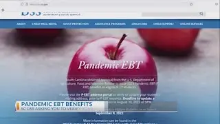 SC families eligible for pandemic-EBT benefits should verify mailing addresses