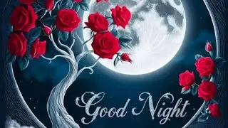 Good night photos  !! Good night wallpapers  !! Good night images