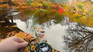 Рыбалка на ручье в городе Алабама зимой!!!
