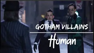 Gotham Villains | Human