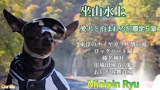 愛と調和の虹をご覧下さい🌈吹割の滝/紅葉の榛名神社/ロックハート城/りんご狩/川場田園道の駅/坐山水上愛犬と泊まれる宿限定５室リニューアルオープン