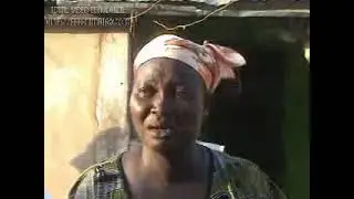 ZIM LA,ARI   part one